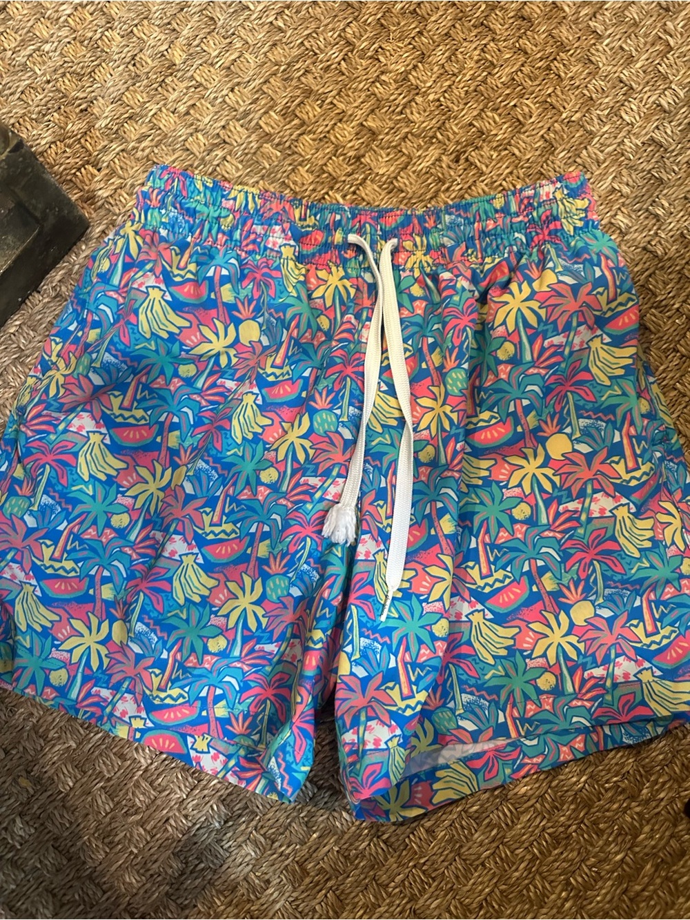 Chubbies swim
